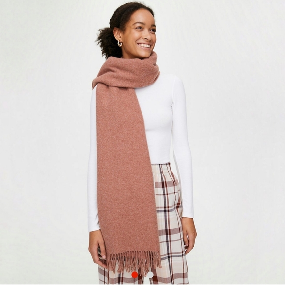 Aritzia Accessories - Aritzia Wool Scarf